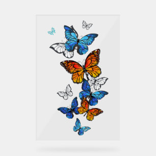 Papillons volants Morpho et Monarch