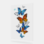 Papillons volants Morpho et Monarch (Angle)