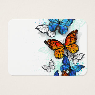 Papillons volants Morpho et Monarch