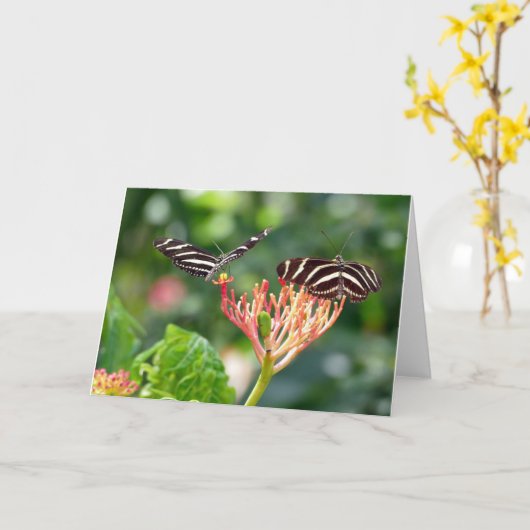 Papillons Zebra Longwing, FL - carte (Fleur jaune)