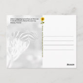 Papillons Zebra Longwing, FL - carte postale (Dos)