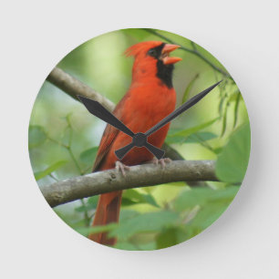 Pappa Singing! Ronde Klok