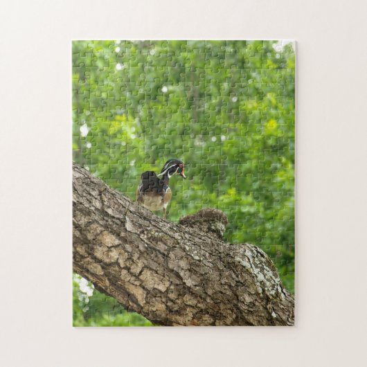 Pappa Woodduck Legpuzzel (Verticaal)