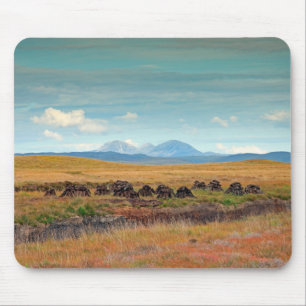 Paps van Jura uit de Islay, Schotland Muismat