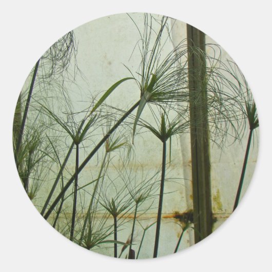 Papyrus Ronde Sticker (Voorkant)