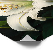 Pâques Blanches Lys Fleur Art Imprimer Poster (Coin)