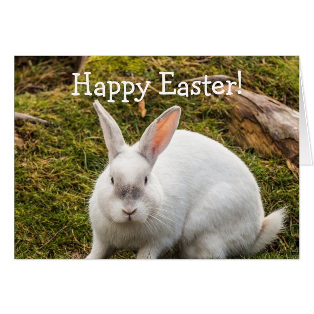 Pâques du lapin blanc (Devant horizontal)