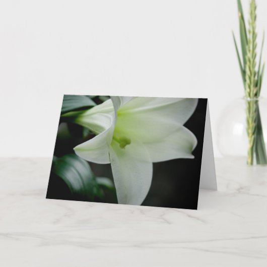 Pâques Lily ・ Carte de voeux (Devant)