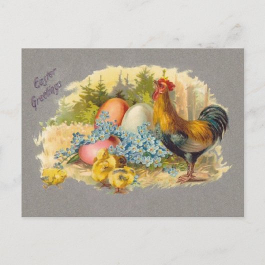 Pâques - poussins, oeufs et coq - carte postale (Devant)