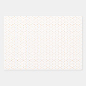Paquet de papier 407 b (Devant)