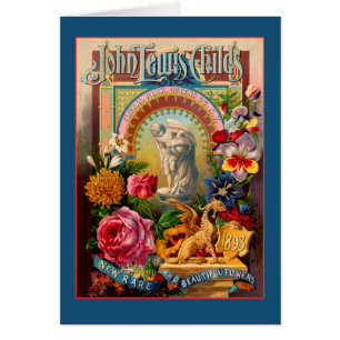 Paquet rare de graine de fleurs de John Lewis