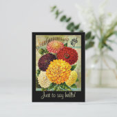 Paquet vintage de graines de fleurs - Carte postal (Debout devant)