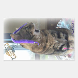 PAR Caesar-Sticker Rechthoekige Sticker