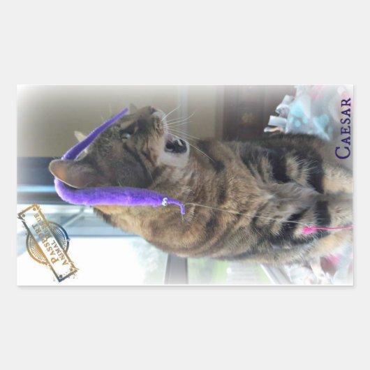 PAR Caesar-Sticker Rechthoekige Sticker (Voorkant)