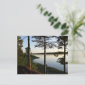 Par la carte postale Pines (Debout devant)