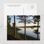 Par la carte postale Pines (Devant / Derrière)