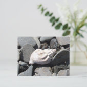 Par La Carte Postale Seashore (Debout devant)
