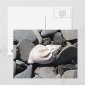 Par La Carte Postale Seashore (Devant / Derrière)