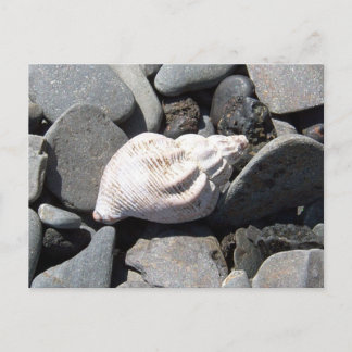 Par La Carte Postale Seashore