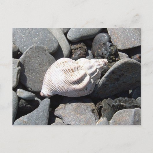 Par La Carte Postale Seashore (Devant)