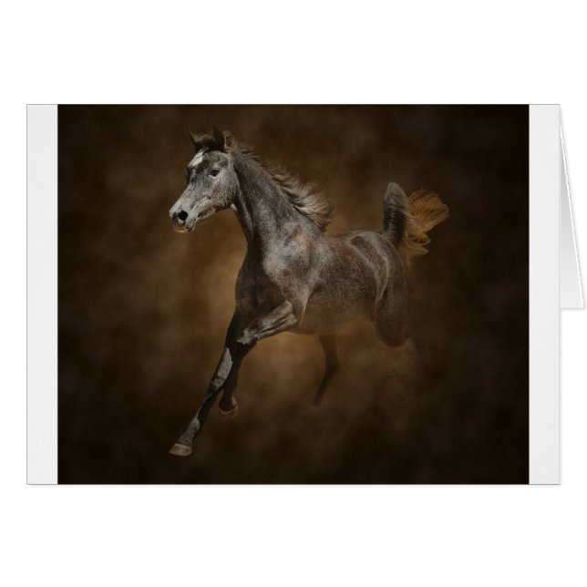 Par la poussière (Devant horizontal)