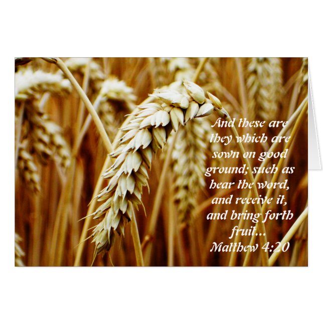 Parable of the Sower Blank Card (Voorkant Horizontaal)