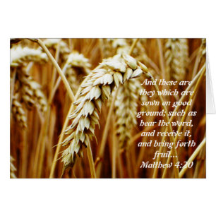 Parabole de la carte blanche d'alimentation