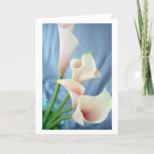Parade de soie Cartes de voeux blanches Calla Lily