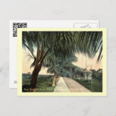 Parade Ground, Barracks, Key West FL  Briefkaart (Voorkant / Achterkant)