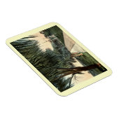 Parade Ground, Barracks, Key West FL  Postc Magneet (Rechterzijde)