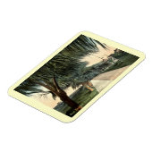 Parade Ground, Barracks, Key West FL  Postc Magneet (Linkerzijde)