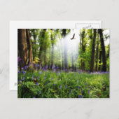 paradijs gevonden briefkaart (Voorkant / Achterkant)