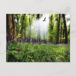 paradijs gevonden briefkaart