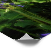 paradijs gevonden poster (Hoek)