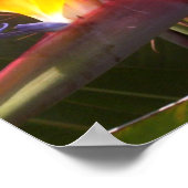 paradijsvogel 1 poster (Hoek)