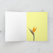 Paradijsvogel noot Kaart (Binnen)