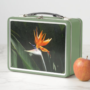 Paradijsvogel Oranje Tropische Bloem