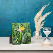 Paradijsvogel plant (Strelitzia) Fotoplaat (Insitu)