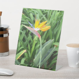 Paradijsvogel plant (Strelitzia) Reclamebord Met Voetstuk