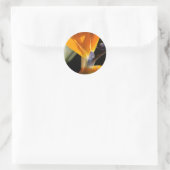 paradijsvogel-Sticker Ronde Sticker (Tas)