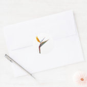 Paradijsvogel (Strelitzia reginae) Ronde Sticker (Envelop)