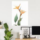 Paradijsvogel tekening (bloem) poster (Thuiskantoor)