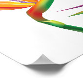 Paradijsvogel Tropisch Bloemendecoratie Feestbanne Poster (Hoek)