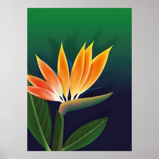 Paradijsvogelbloem Poster (Voorkant)