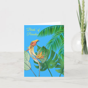 Paradijsvogels Kaart