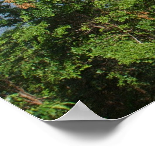 paradijzen poster (Hoek)