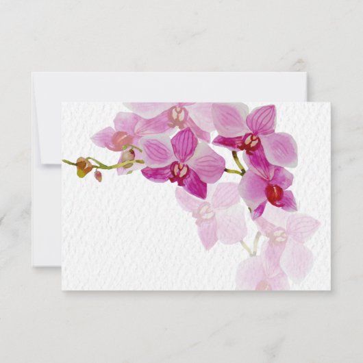 Paradis des orchidées, cartes de réponse (Dos)