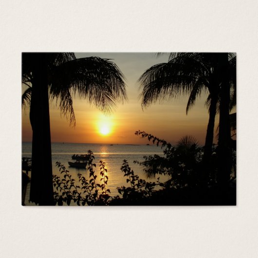 Paradis tropical (Devant)