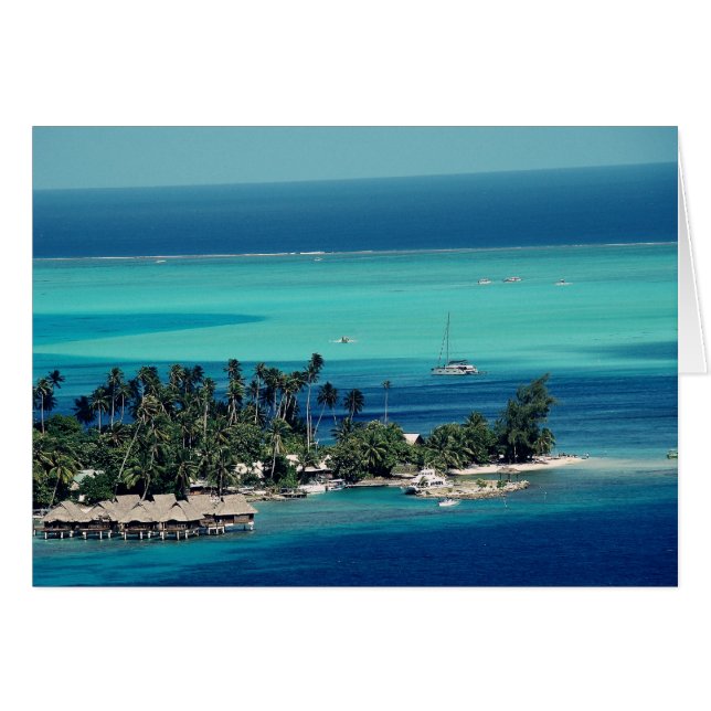 Paradise (Voorkant Horizontaal)