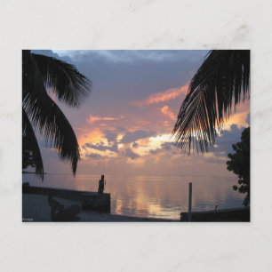 Paradise Briefkaart